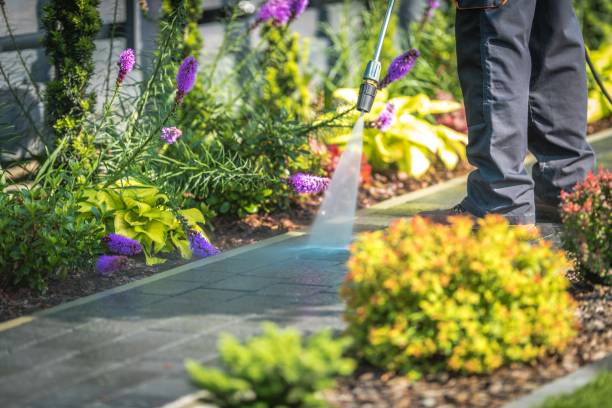 Best Boat and Dock Cleaning  in Plattsburgh, NY