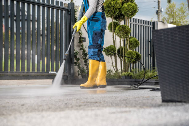 Best Building Exterior Washing  in Plattsburgh, NY